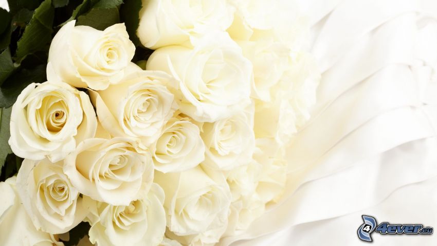 virágcsokor, fehér rózsák