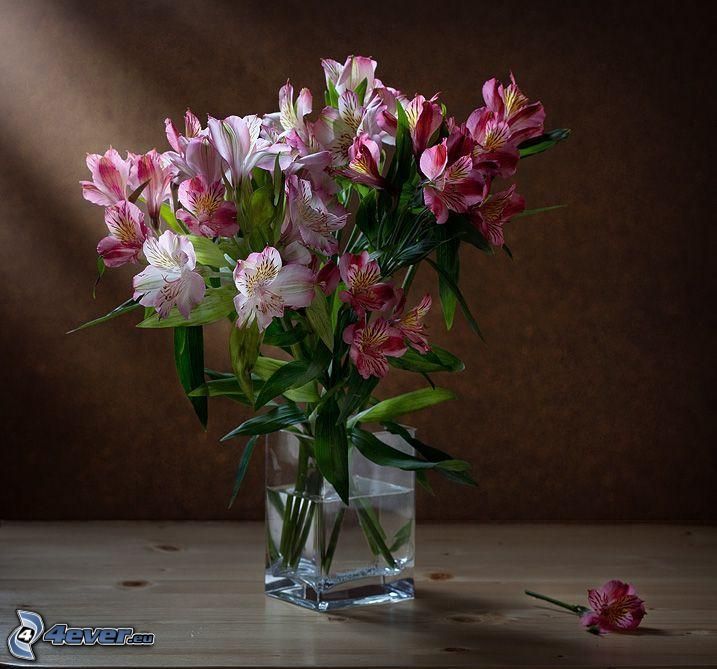 virágok vázában, rózsaszín virágok