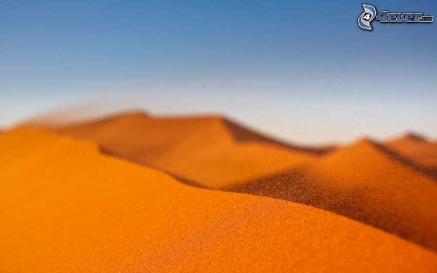 sivatag, homok