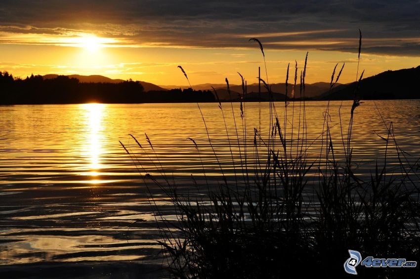 naplemente a tavon, fű a tó partján