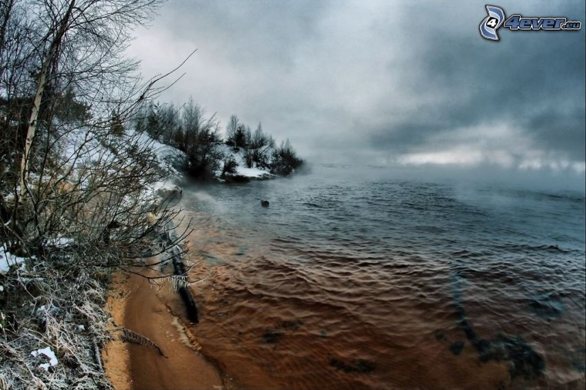 part, tó, tél, köd