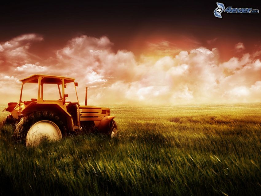 régi elhagyott traktor, mező, felhők, napnyugta