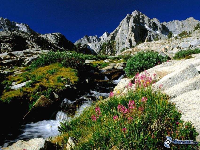 Sierra Nevada, Kalifornia, hegy, domb, patak