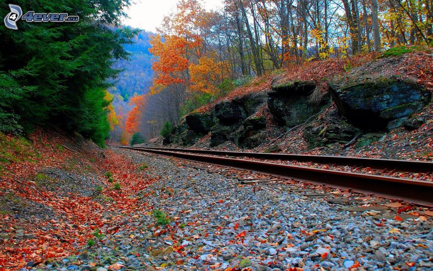 sínek, színes őszi erdő, vasút, piros levek, kövek