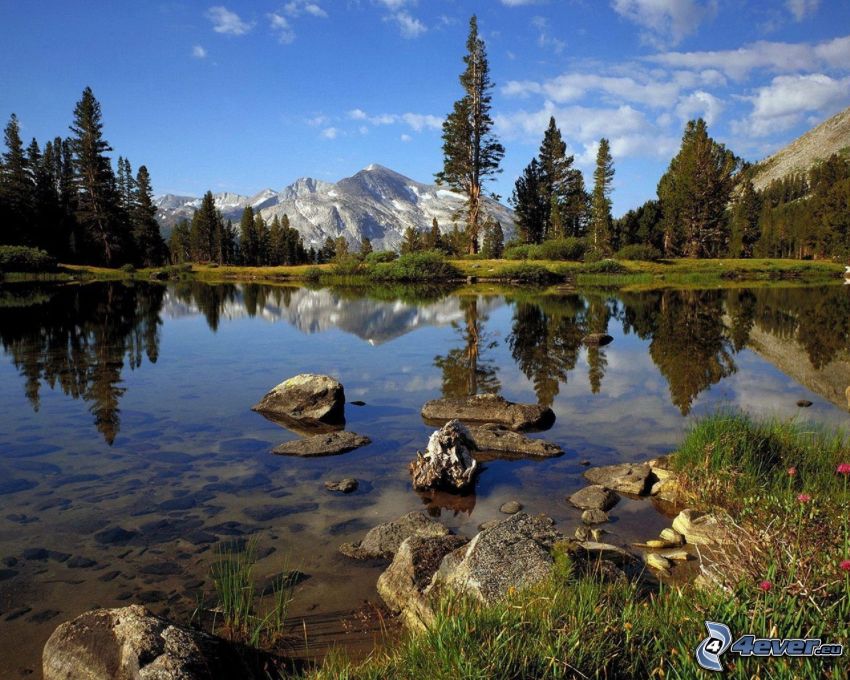 Yosemite Nemzeti Park, tó, hegyek, fák