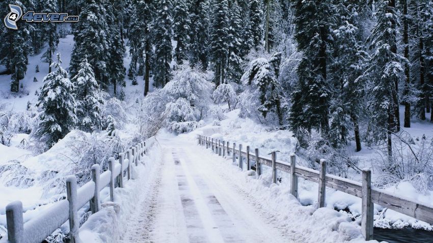 téli út, havas táj, híd, fakerítés