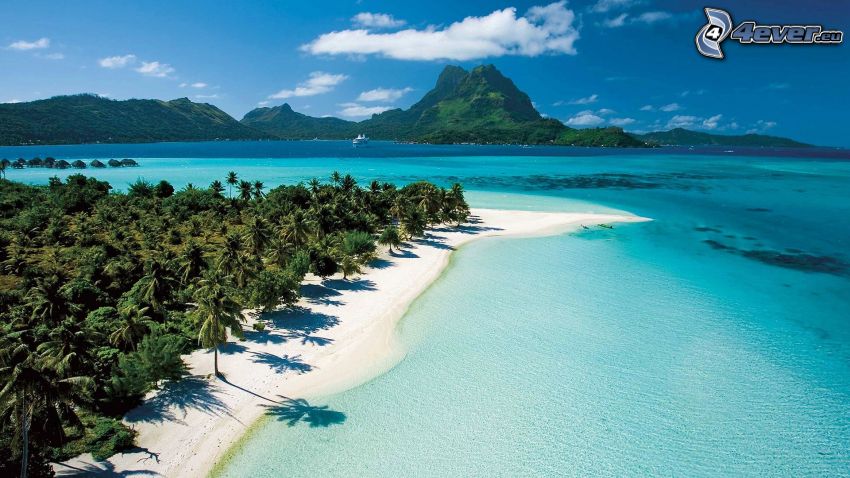 Bora Bora, trópusi szigetek, pálmafák, nyári azúrkék tenger