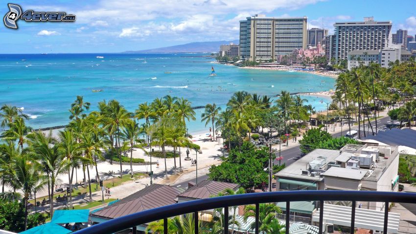 Hawaii, tenger, pálmafák, hotel, házak