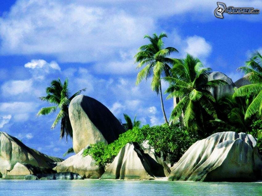 La Digue, Seychelle-szigetek, pálmafák, tenger, tengerpart, sziklák