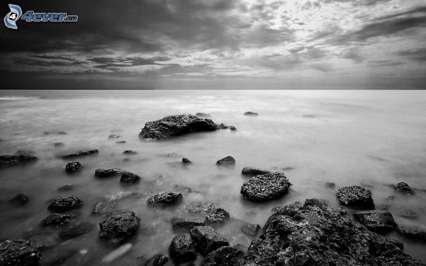 sziklás part, tenger, fekete-fehér kép