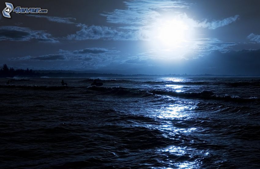 tenger, hold, éjszaka