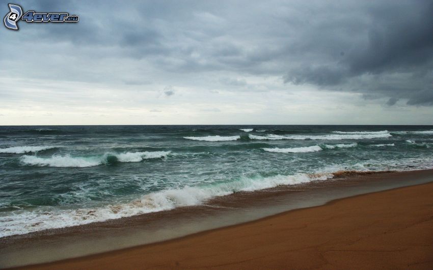 tenger, hullámok, homokos tengerpart