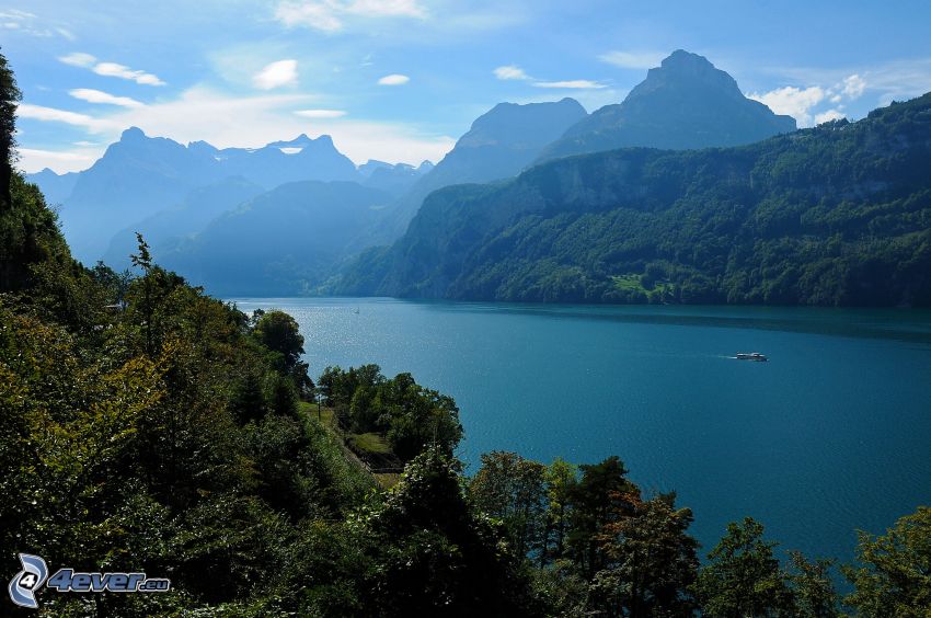 tó, hegyek, erdő, Svájc