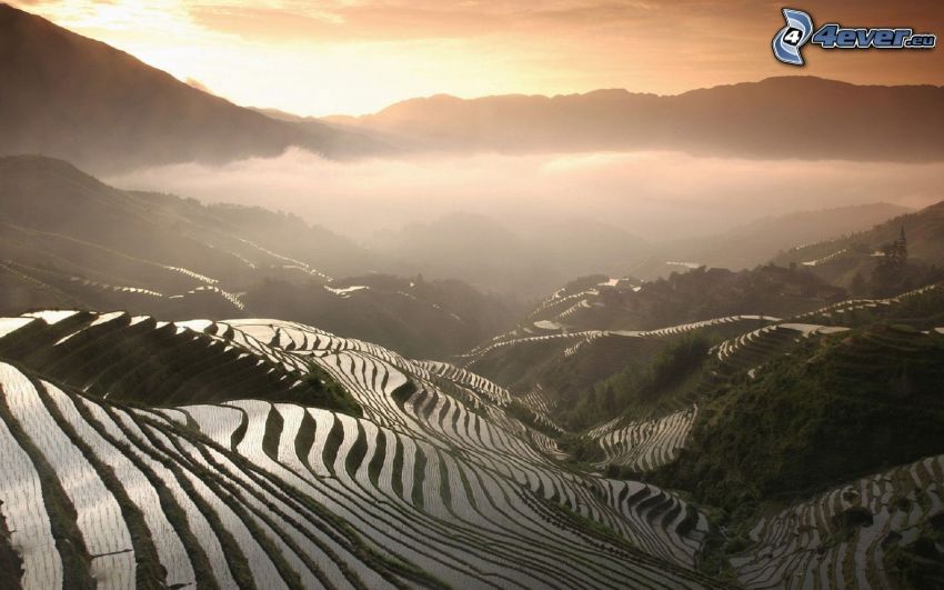 vietnami rizsföldek, lépcsős vízesés, napkelte