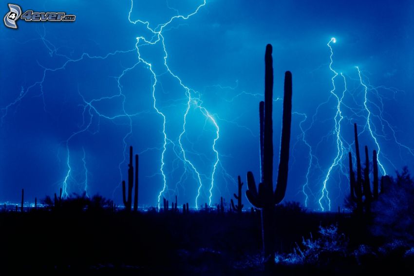 vihar, villámok, kaktuszok
