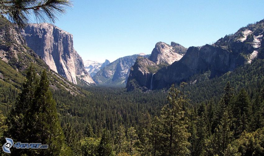 Yosemite Nemzeti Park, El Capitan, völgy, erdő