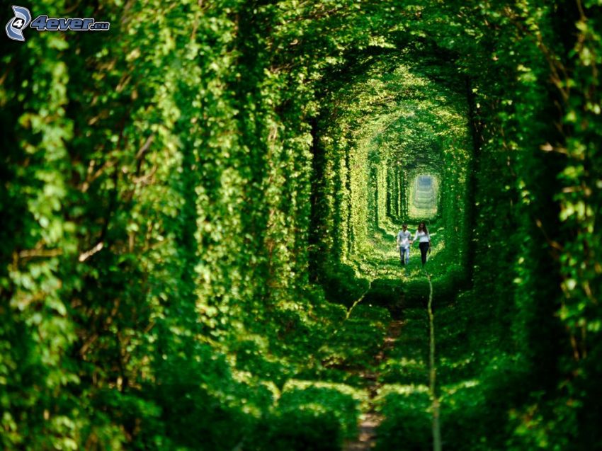 zöld alagút, sínek, párocska