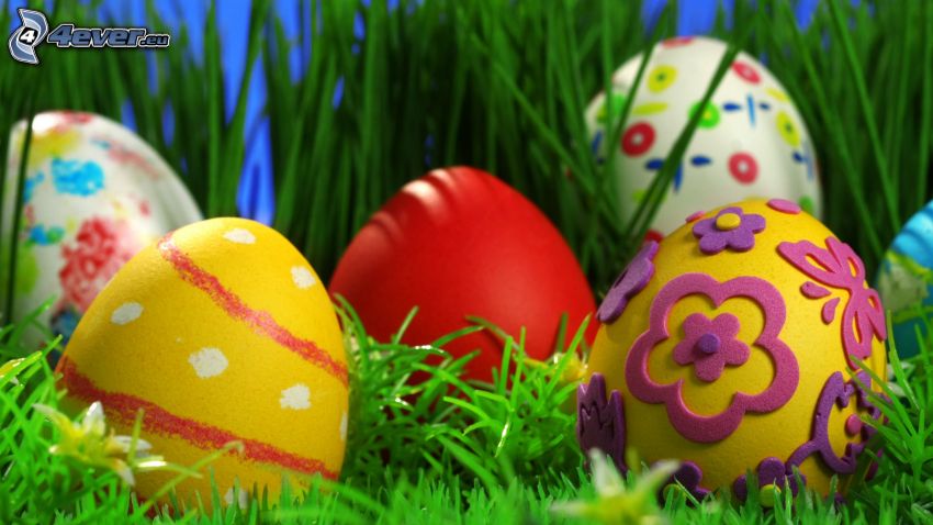 festett tojások, húsvéti tojások, fű