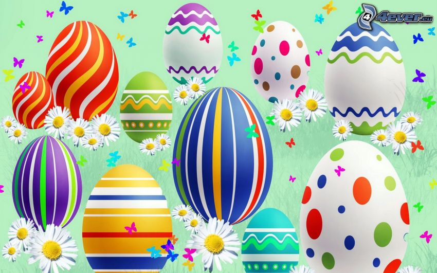 festett tojások, húsvéti tojások, százszorszépek