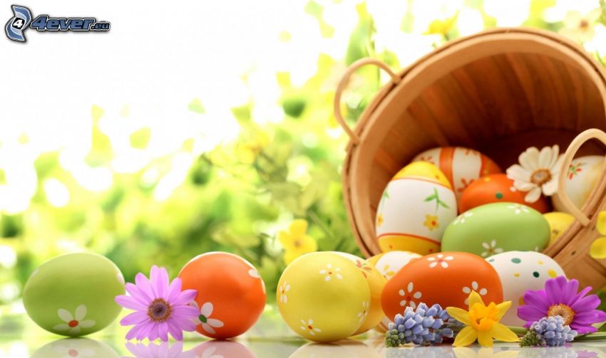 festett tojások, húsvéti tojások, vödör, mezei virágok