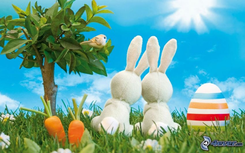húsvéti nyuszik, festett tojás, sárgarépa, bonszai, fa, gyep