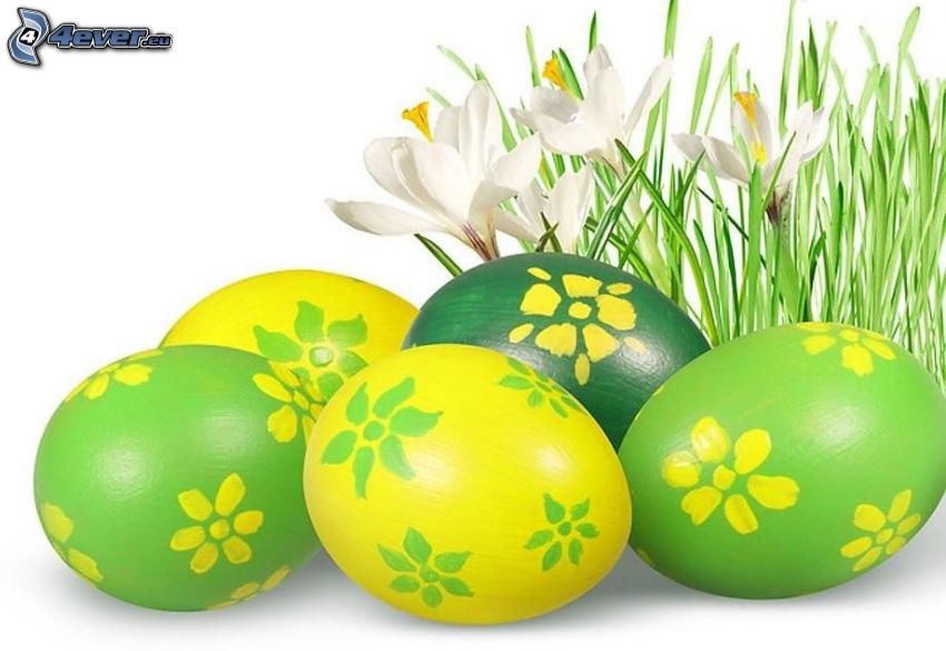 húsvéti tojások, fehér virágok