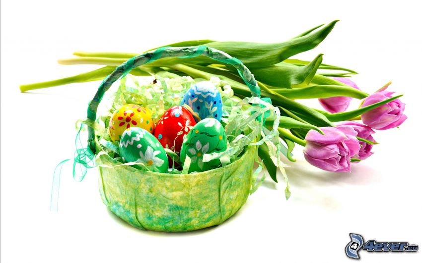 húsvéti tojások, lila tulipánok