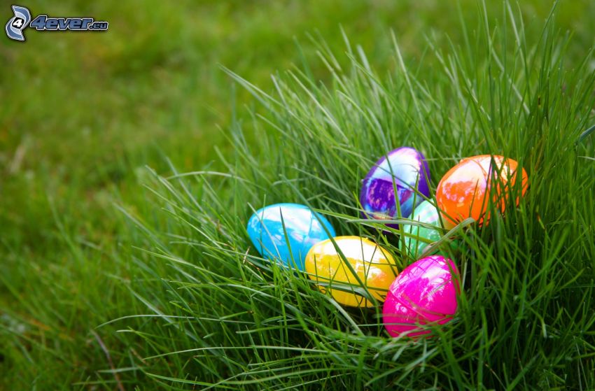 húsvéti tojások a fűben
