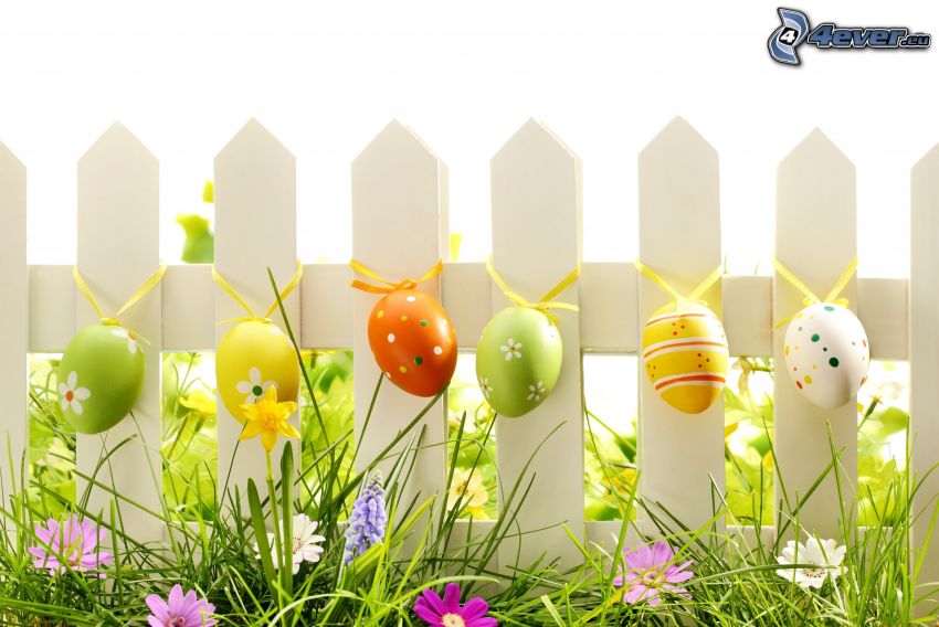 kerítés, festett tojások, húsvéti tojások, fű