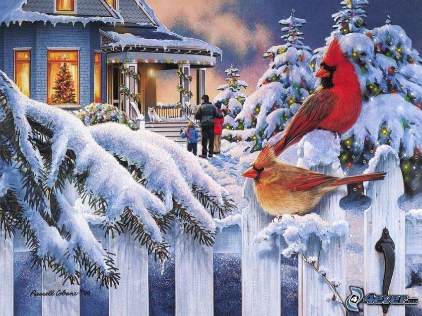 karácsony, tél, havas fák, madarak, fakerítés