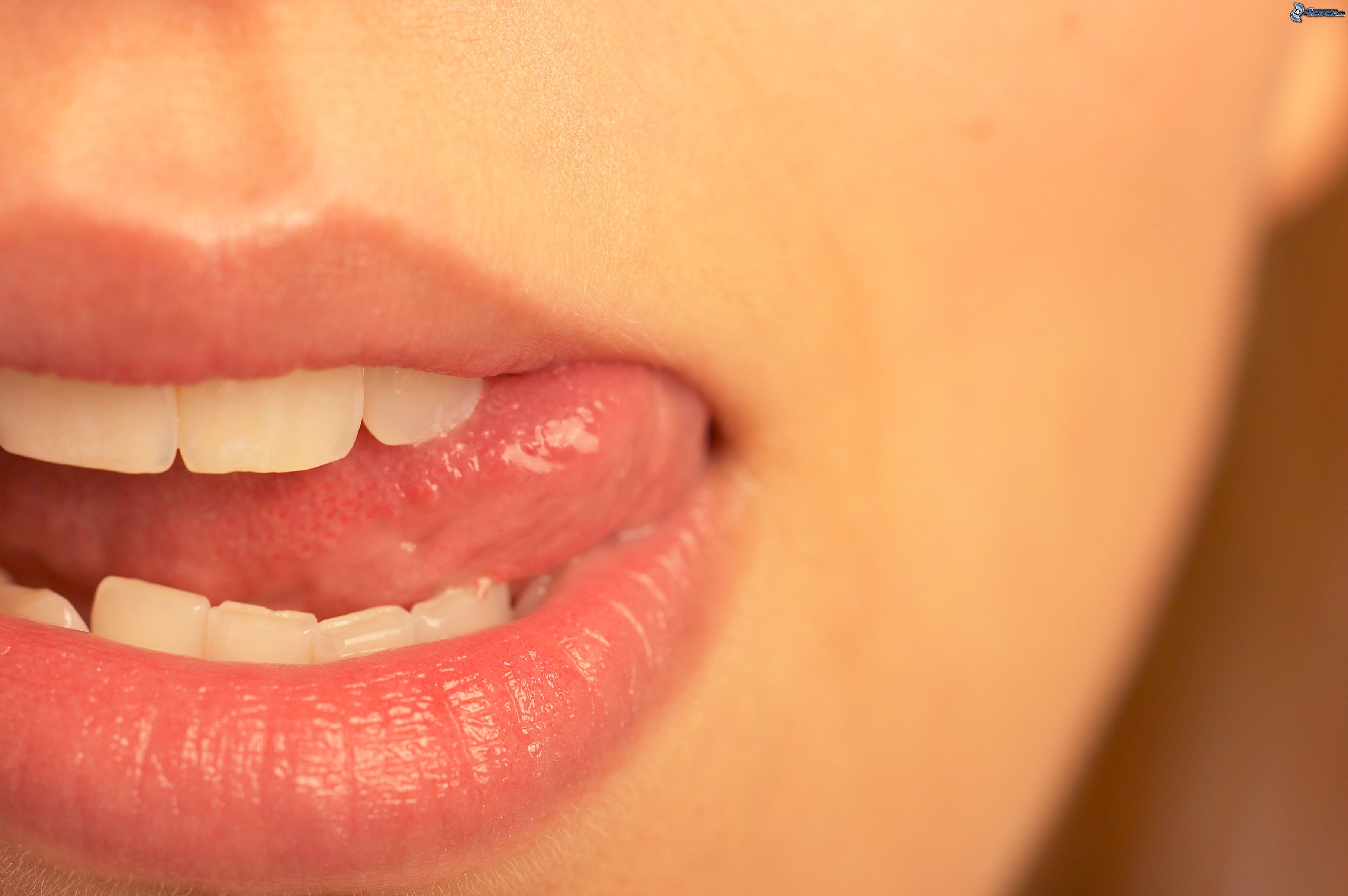 Sager Dental - Tökéletes szájápolás termékei - Hogyan ellenőrizheted fogaid tisztaságát?