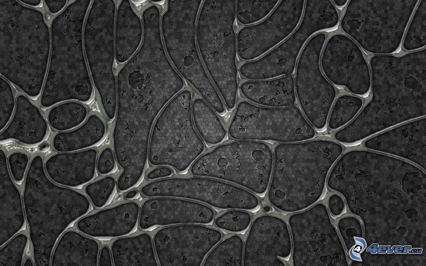 abstrakcyjne kształty, komórki