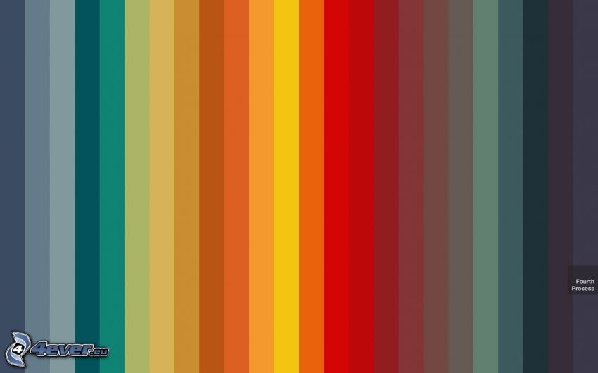 kolorowe paski