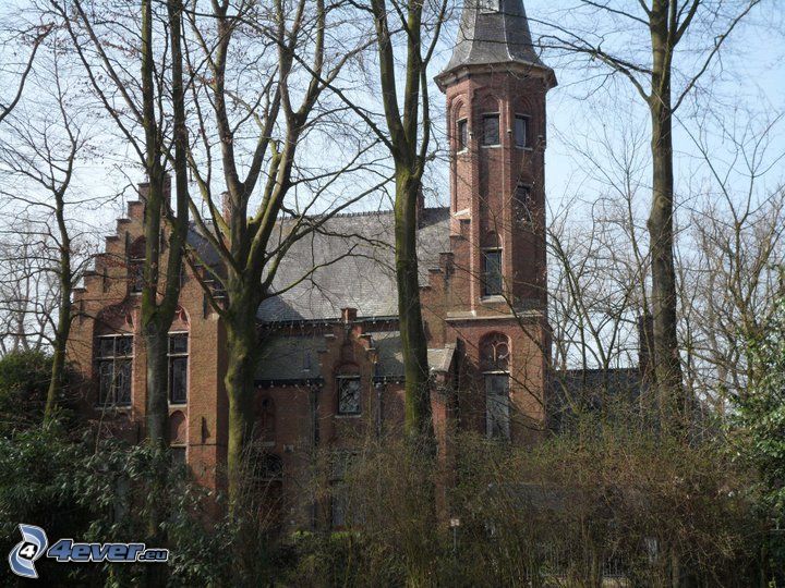 kościół, Belgia, drzewa, drzewo bez liści