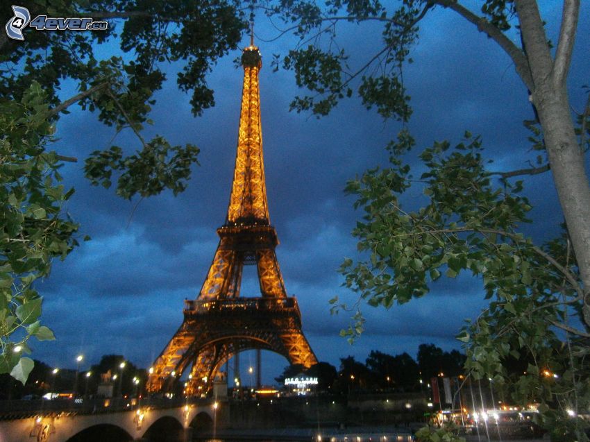 oświetlona Wieża Eiffla, Paryż, Francja, drzewa