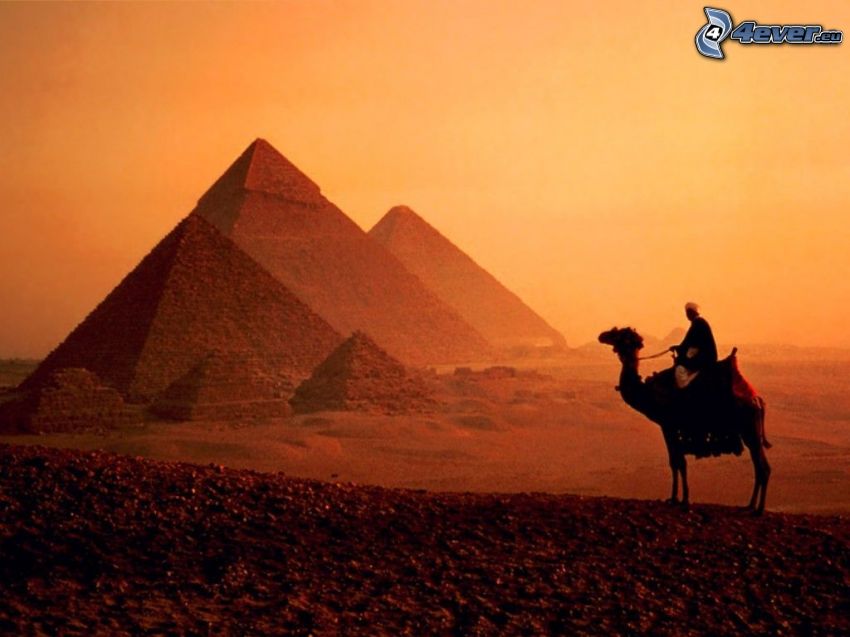 Piramidy w Gizie, piasek, Egipt, wielbłąd, Arab