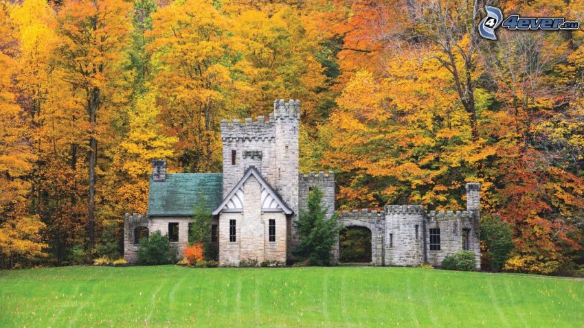 Squire's Castle, jesienny las