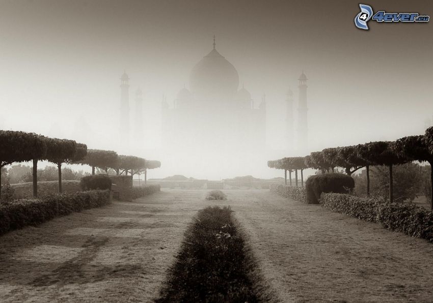 Taj Mahal, Indie, pałac, mgła, aleja drzew, czarno-białe