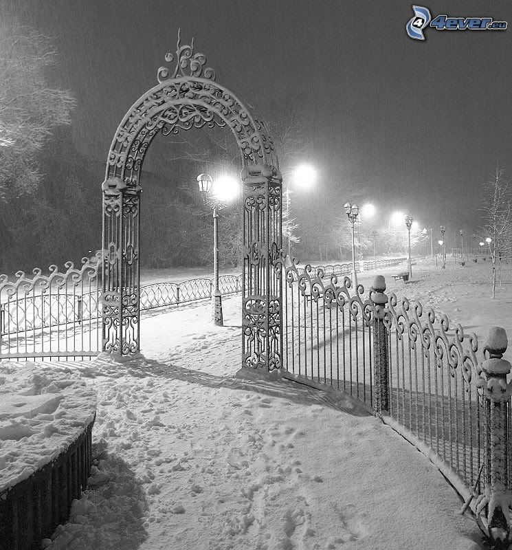zaśnieżona, brama, park