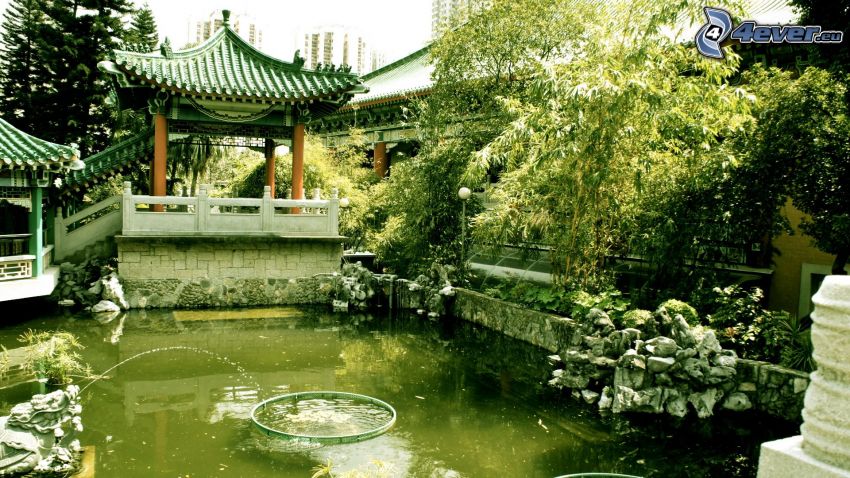 jeziorko, zieleń, Chiny
