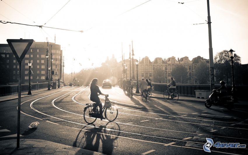 Amsterdam, ulica, rowerzysta