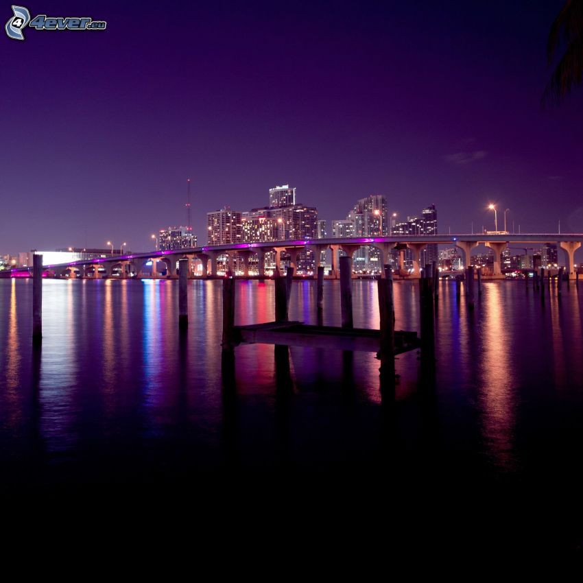Miami, fioletowe niebo, noc, most, wieżowce