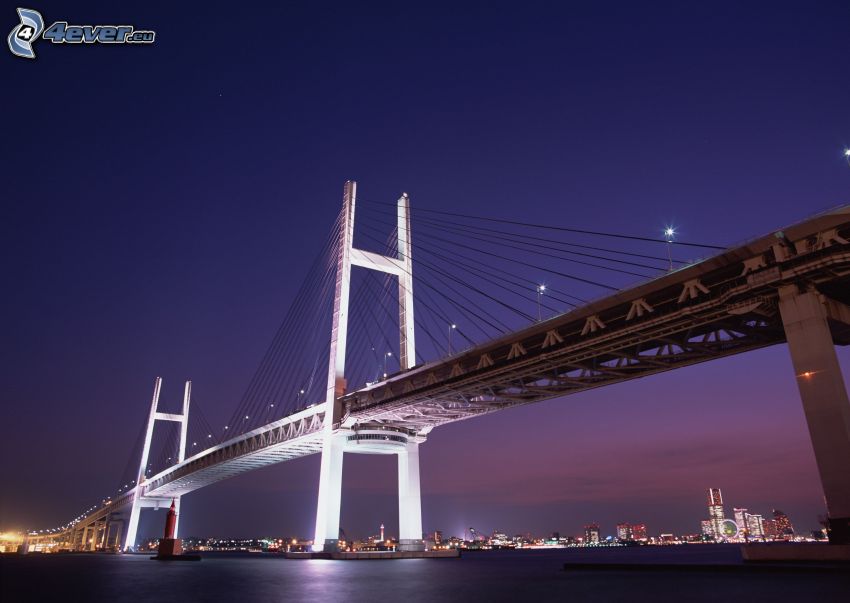 oświetlony most, Szanghaj