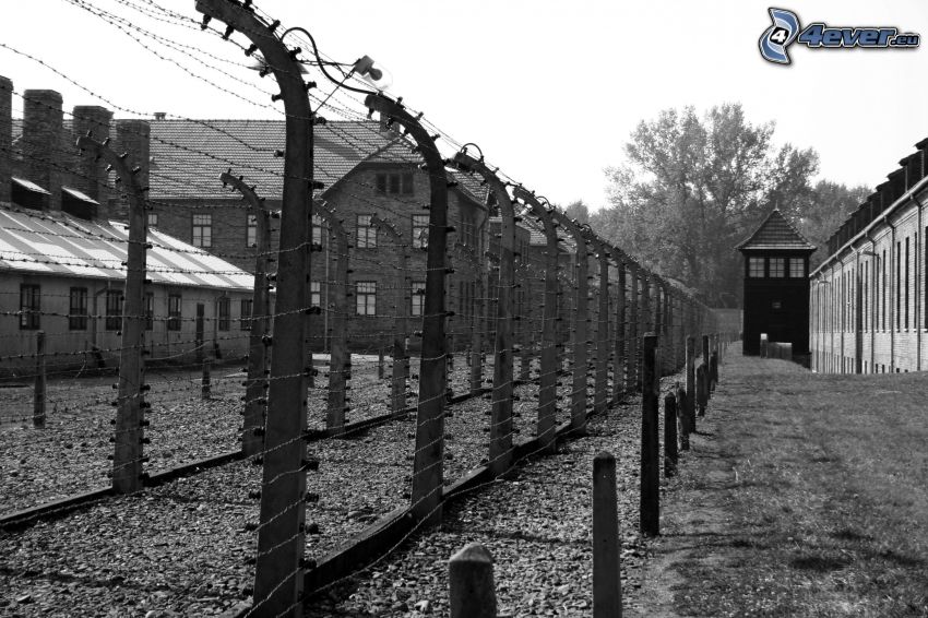 obóz koncentracyjny, ogrodzenie z drutu, Oświęcim, czarno-białe zdjęcie