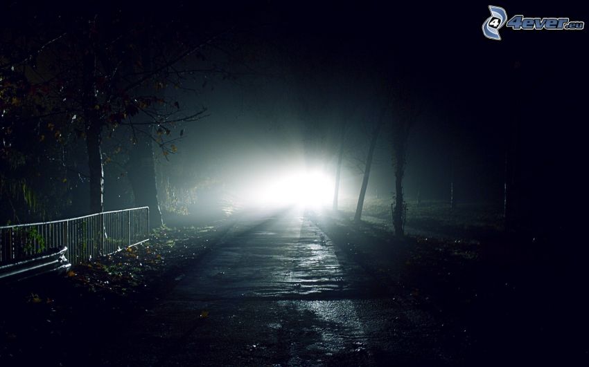 chodnik, światło, noc