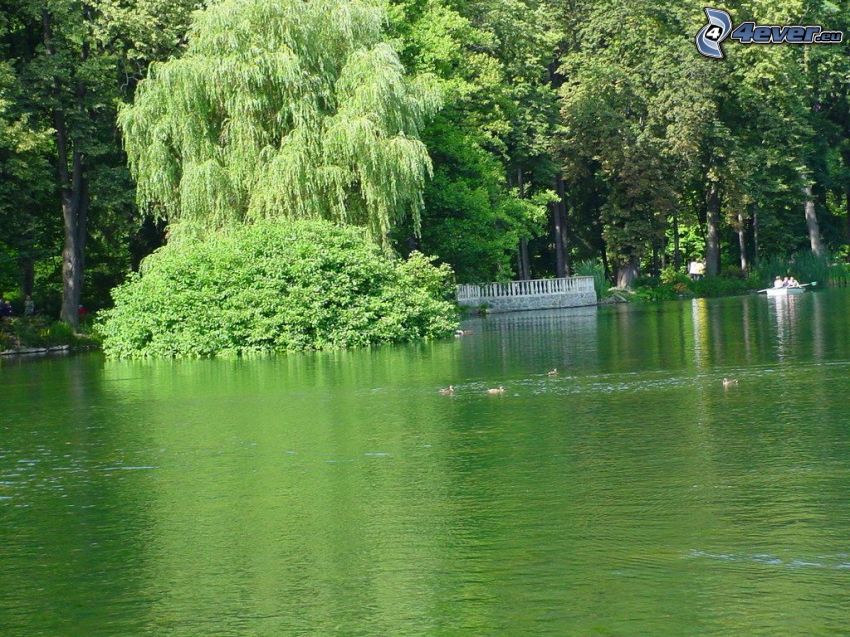 park, jezioro, Rajecké Teplice