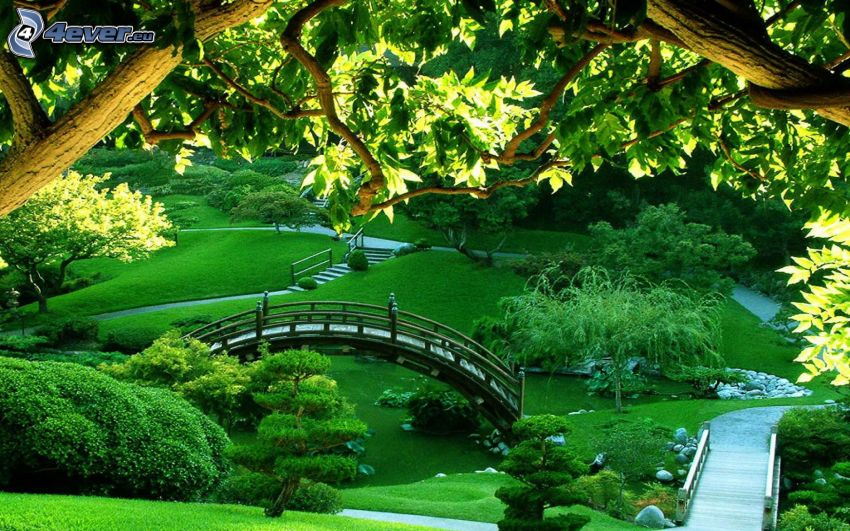 park, most, chodnik, zieleń