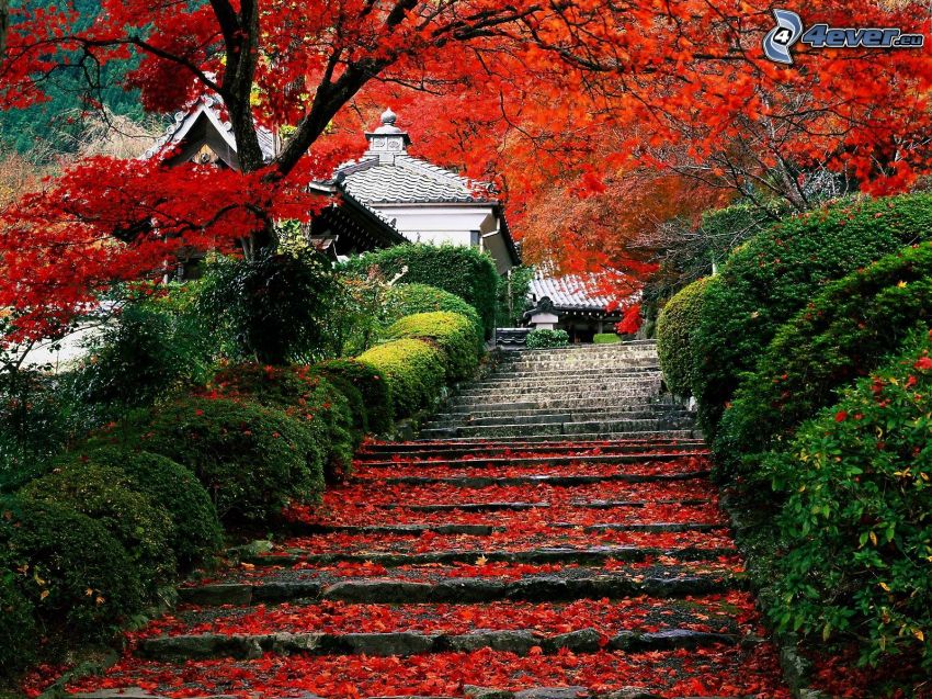 schody, czerwone liście, kolorowe jesienne drzewa, park, domy