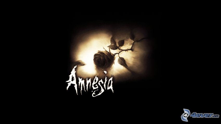 Amnesia, róża