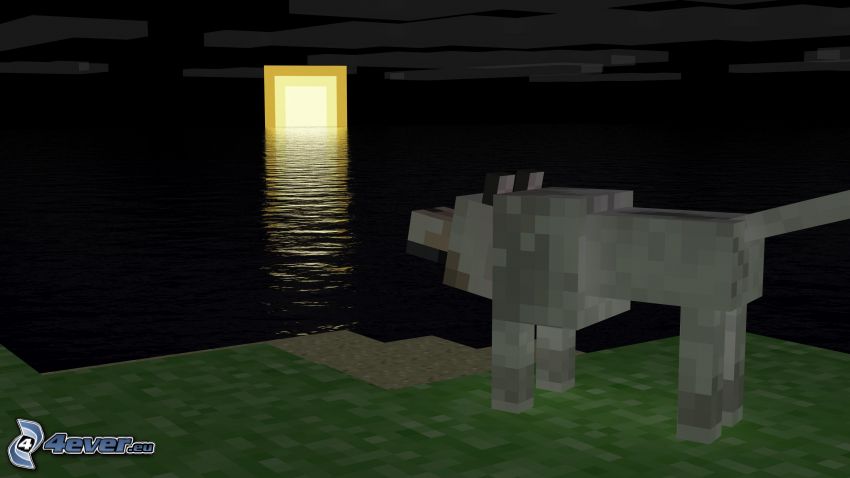 Minecraft, zachód słońca, wilk